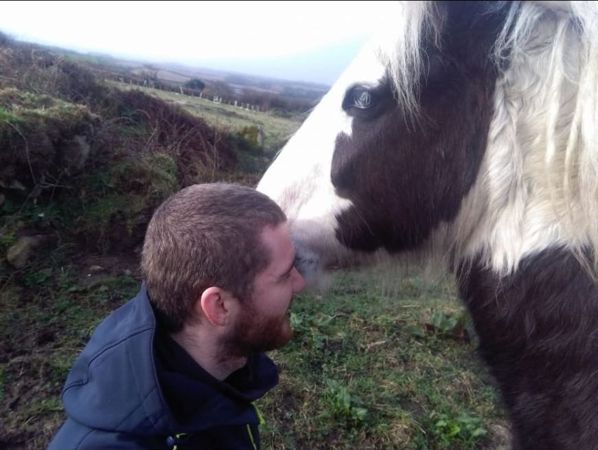 A man and a black and white cob breathing nose to nose on the Cornish moor